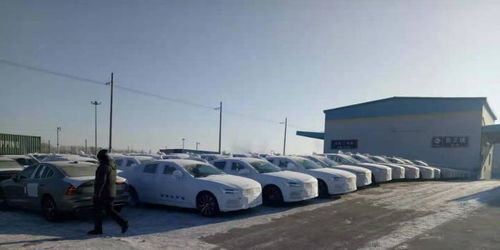 哈铁商品汽车运输新线累计发运突破5000台