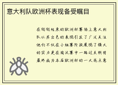 意大利队欧洲杯表现备受瞩目