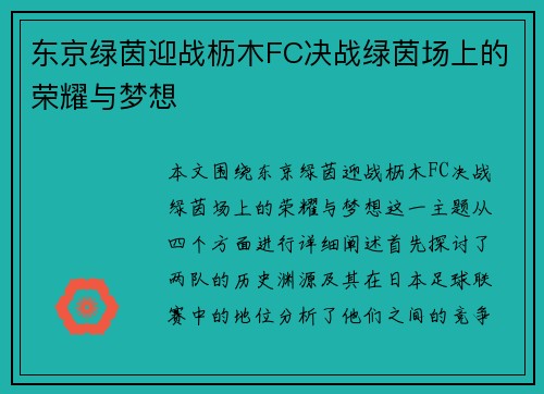 东京绿茵迎战枥木FC决战绿茵场上的荣耀与梦想