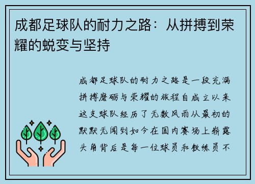 成都足球队的耐力之路：从拼搏到荣耀的蜕变与坚持